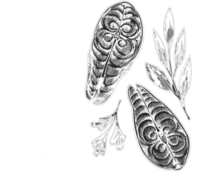 filetes-pescado-ilustraciones-mano-dibuja-ilustracion-mariscos-vector-pizarra-estilo-grabado-comida-vintage-salmon-o-trucha_97441-1270-removebg-preview filetes-pescado-ilustraciones-mano-dibuja-ilustracion-mariscos-vector-pizarra-estilo-grabado-comida-vintage-salmon-o-trucha_97441-1270-removebg-preview